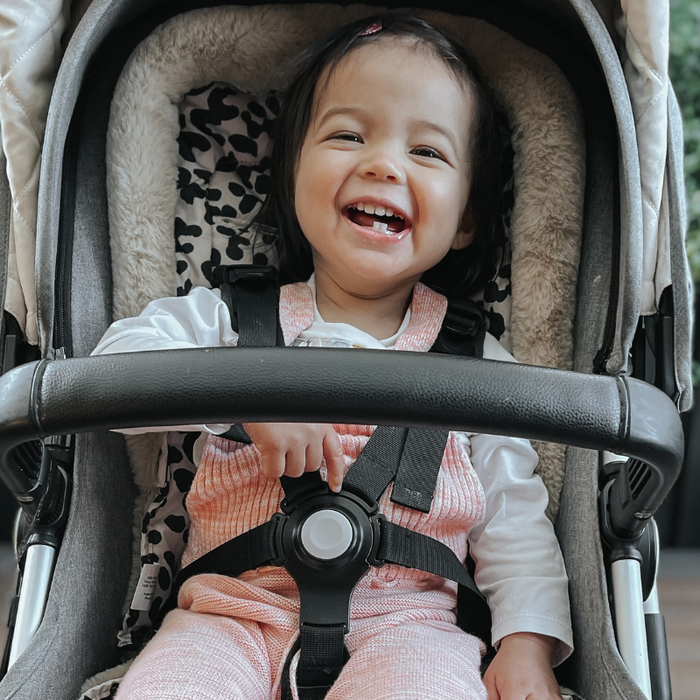 OiOi Pram Liner Customer Gallery & Reviews-OiOi